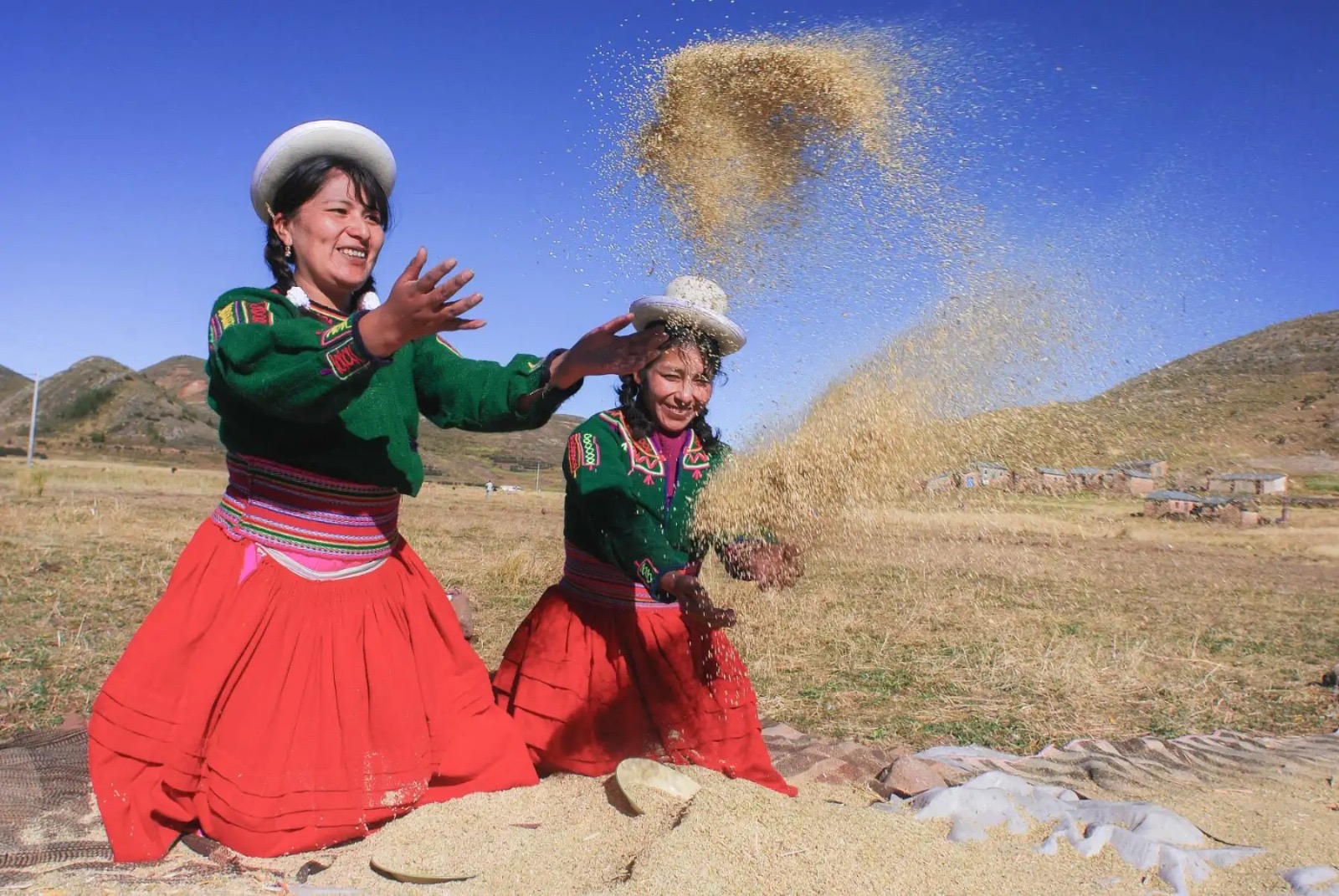 Casi un millón de mujeres impulsan producción agraria y seguridad alimentaria del Perú