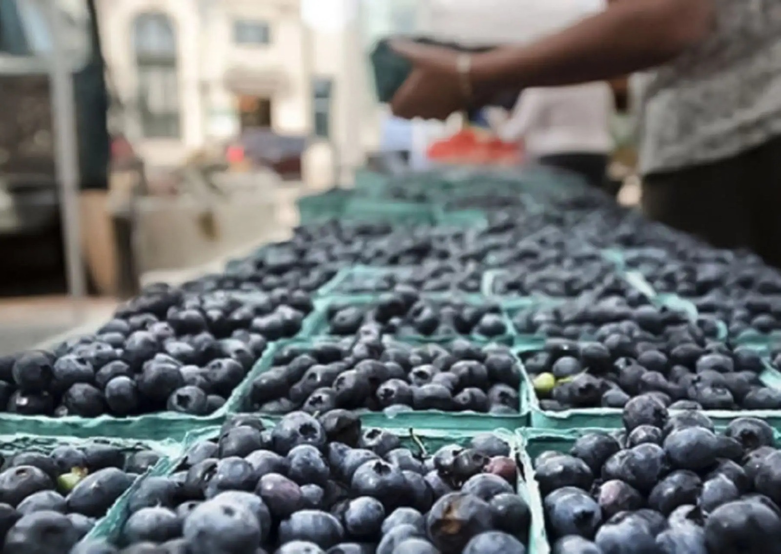 Perú y Chile casi igualados en exportaciones agrícolas al mundo